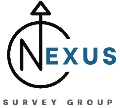 Nexus Survey Group logo